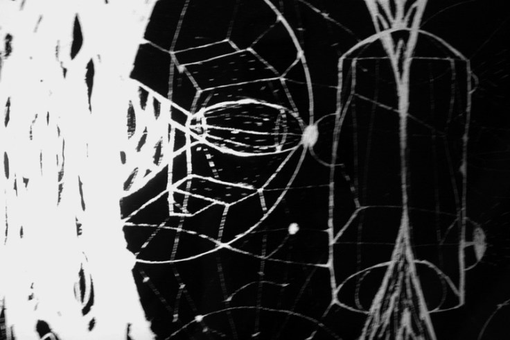 pál csaba loop, részlet