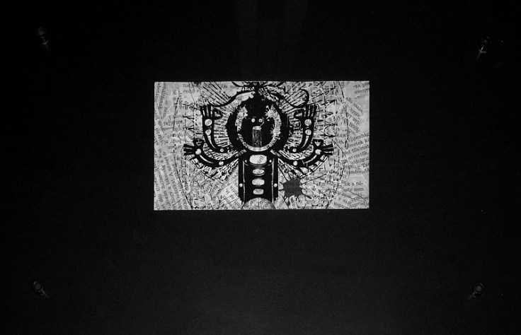 pal_csaba_maganyos_konyv