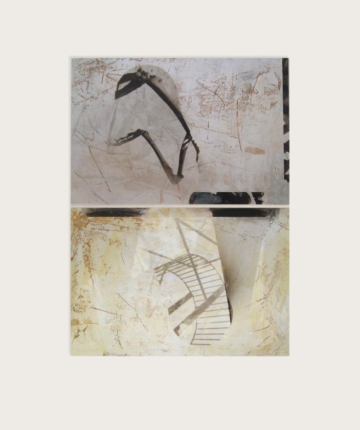 pal_csaba_kiuritettek