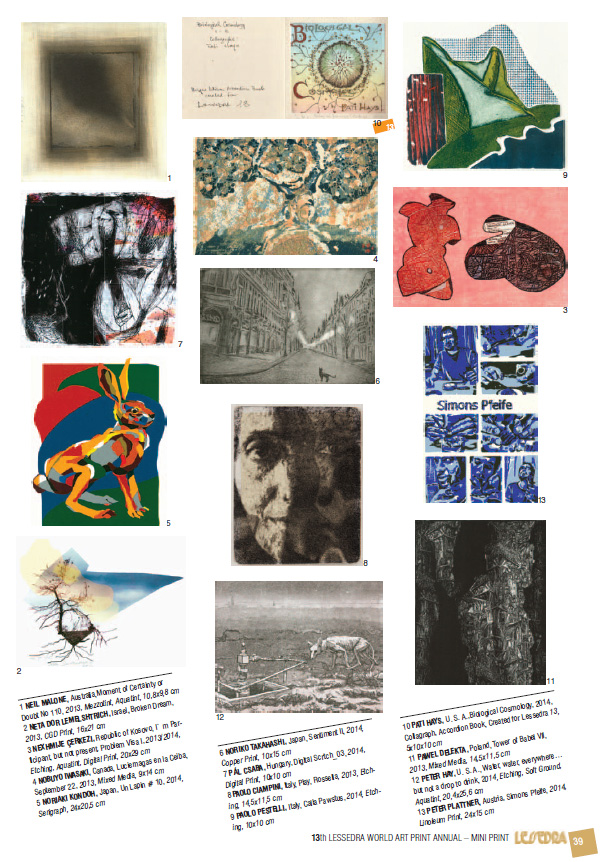 13th Lessedra World Art Print Annual / 2014 catalog
