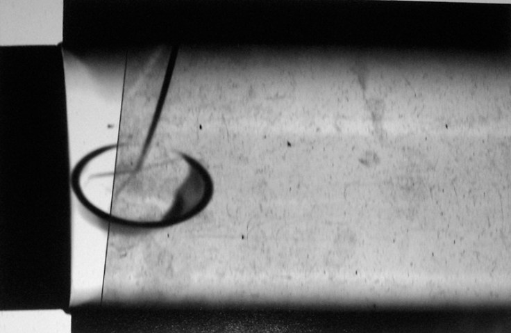 pal_csaba_lightbox_XXI