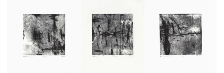 csaba pal_ dry point_010203
