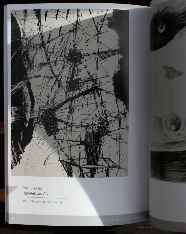 Pál Csaba, Újjáalakítás 03, 100x70cm, digital print