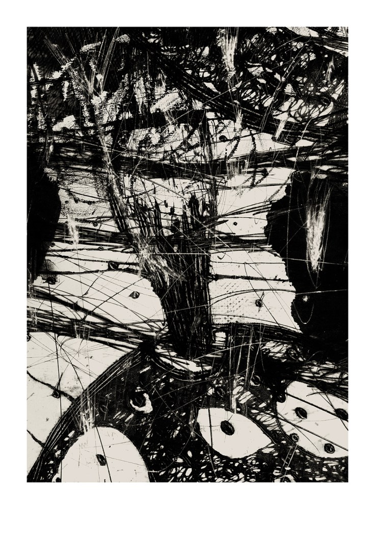 Pál Csaba, Újjáalakítás, 100x70cm, digital print