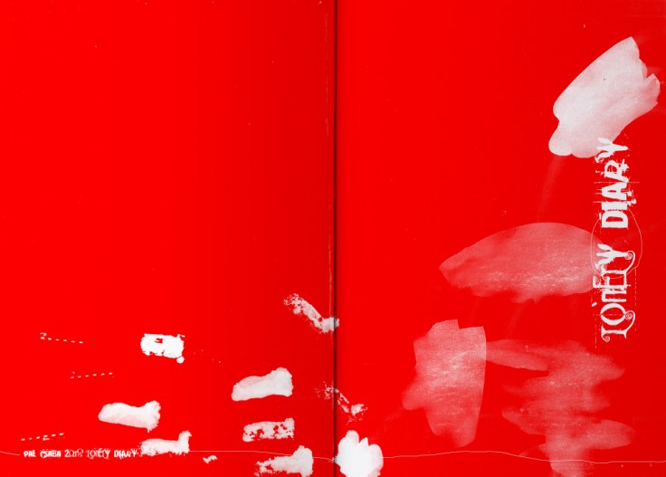  Csaba Pál, Lonely Diary, Zine, A/5, pieces, A//4 digital print, 2018