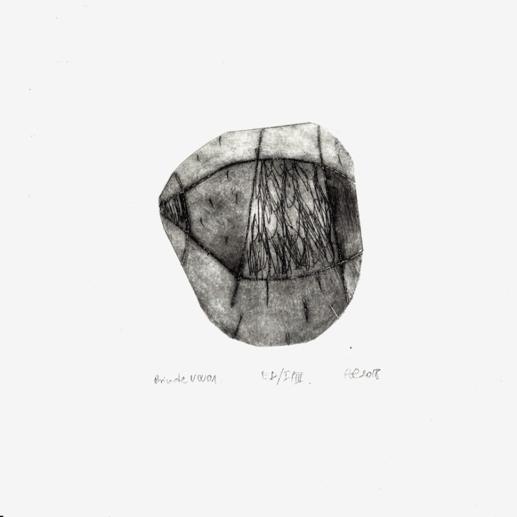 Pál Csaba, Private Virtual World 02, drypoint, 20x20cm, 2018