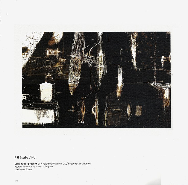 Pál Csaba, Székelyföldi Grafikai Biennálé, Katalógus