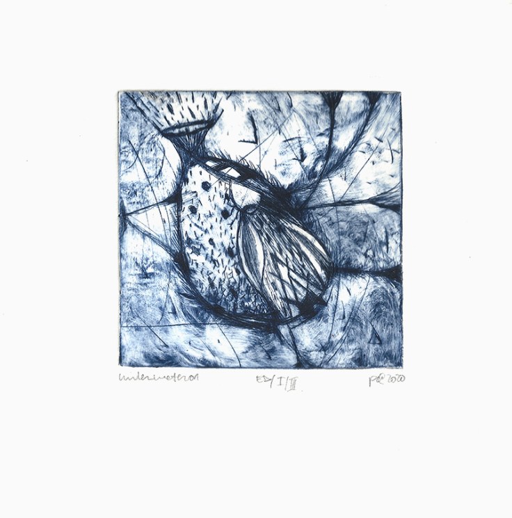 Pál Csaba, Underwater, 01, dry point, 10x10 cm