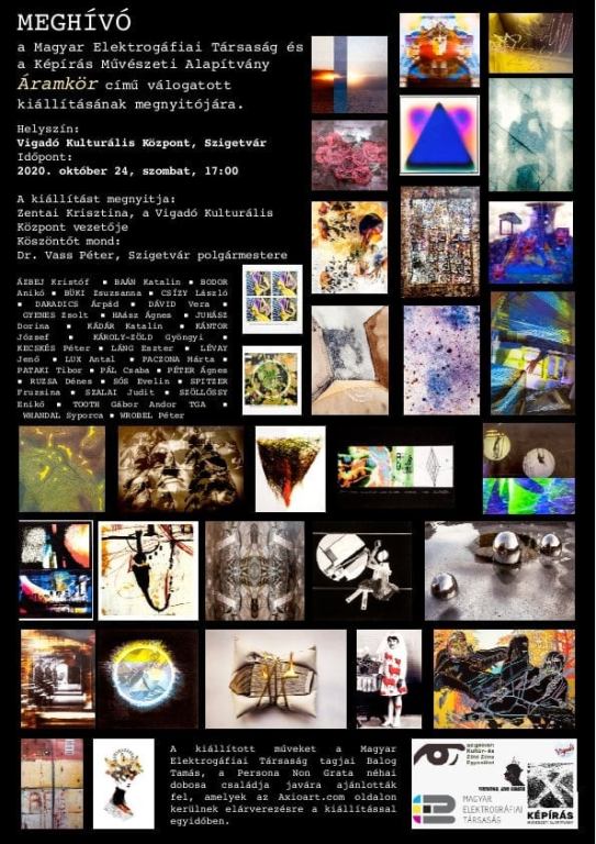 Pál Csaba, M.E.T. Áramkör kiállítás, Szigetvár 2020